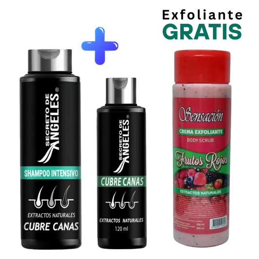 Shampoo Cubre Canas Secreto de Angeles + Tratamiento y Obsequio🎁